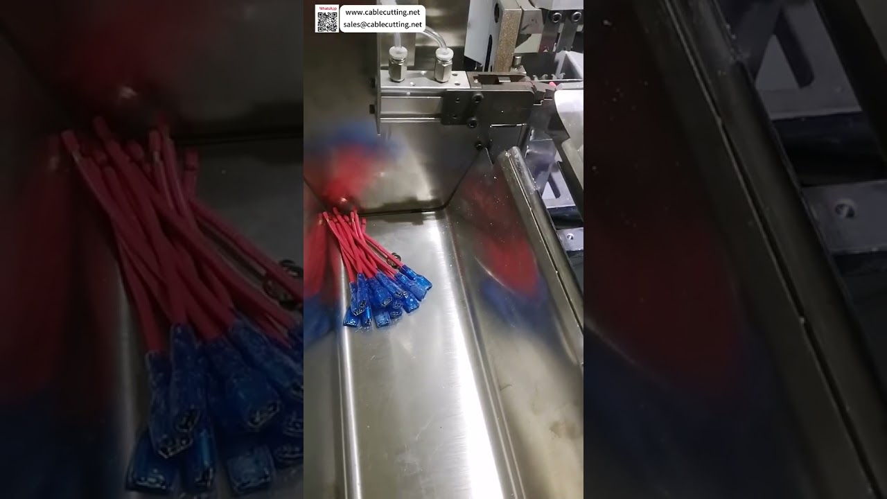 Machine Automatique de Sertissage de Cosses et Insertion de Boîtiers pour Câble d'Alimentation et Faisceau Véhicule