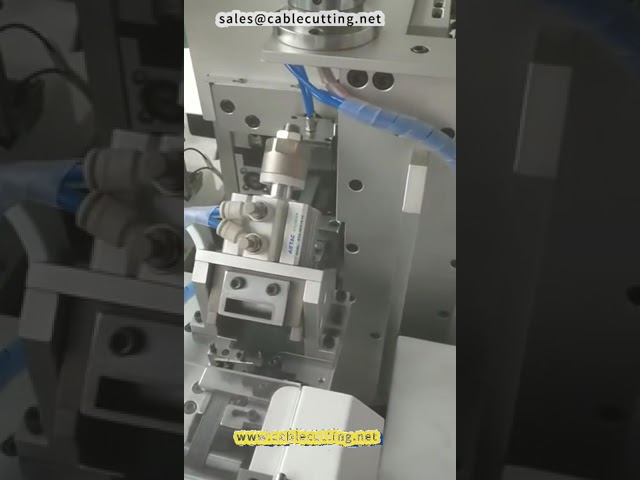 Machine de sertissage automatique double tête pour câbles plats